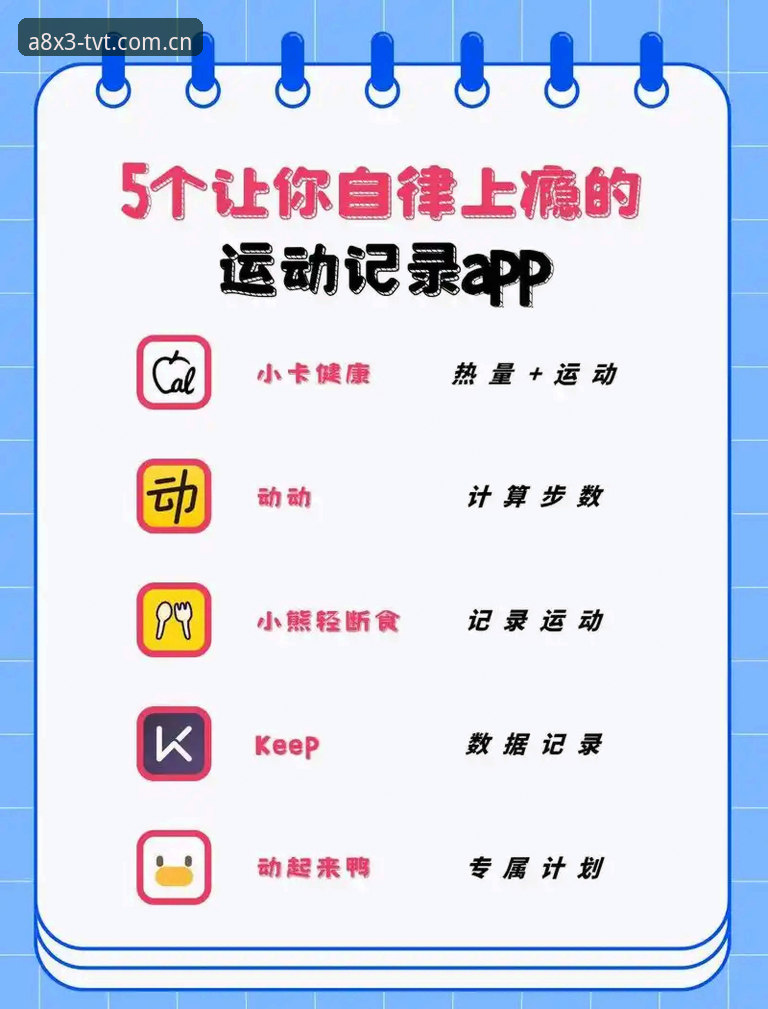 TVT体育app必备功能拆解：68.5 MB安装包与赔率模块实测