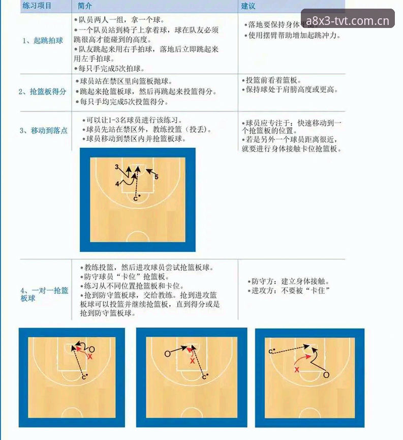 TVT体育使用教程实用指南：从入门到精通的完整操作手册