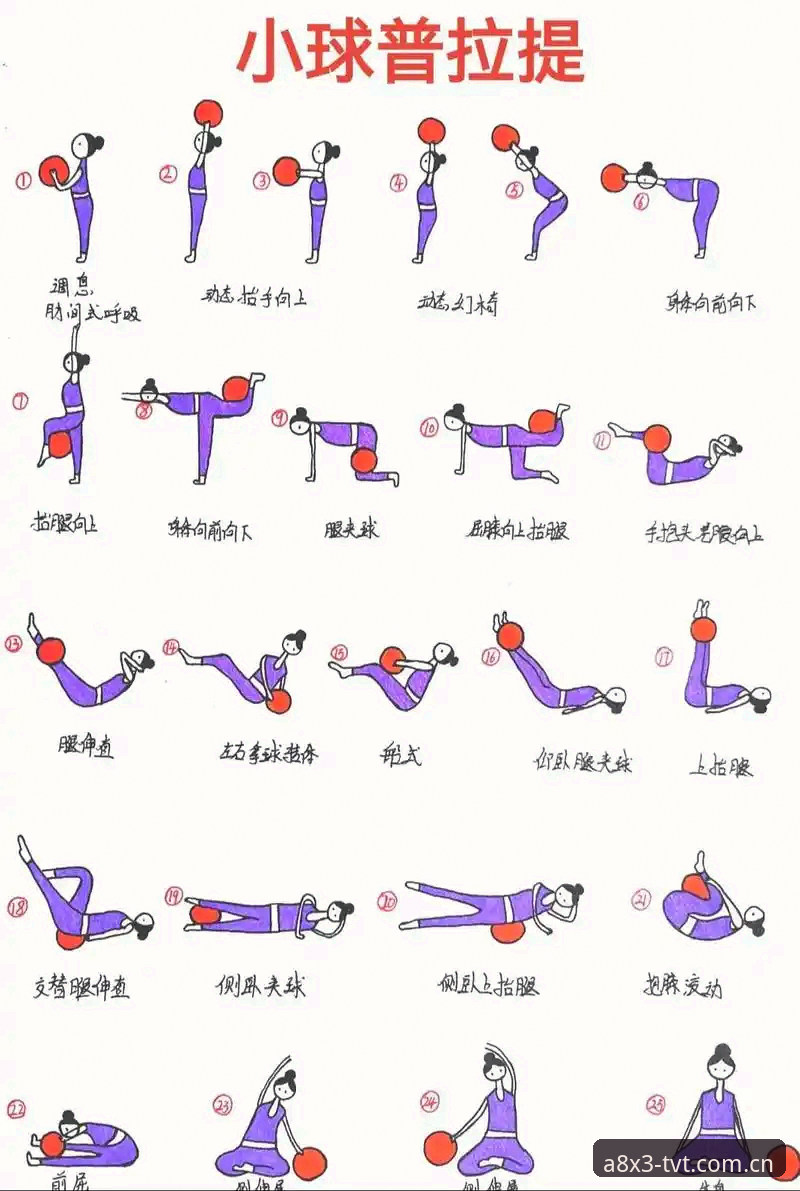 TVT体育使用教程实用指南：从入门到精通的完整操作手册